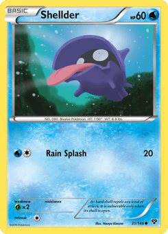 Shellder 31/146 XY