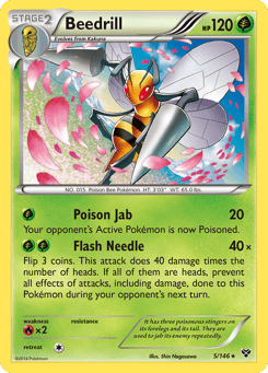 Beedrill 5/146 XY
