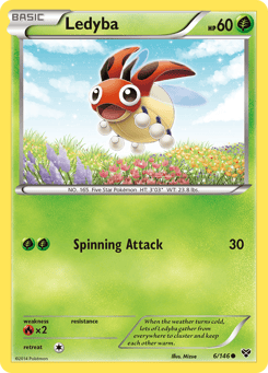 Ledyba 6/146 XY