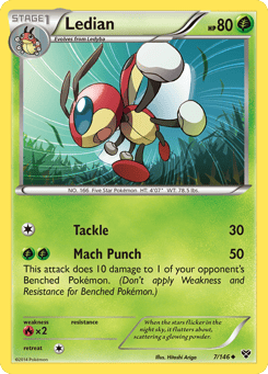 Ledian 7/146 XY