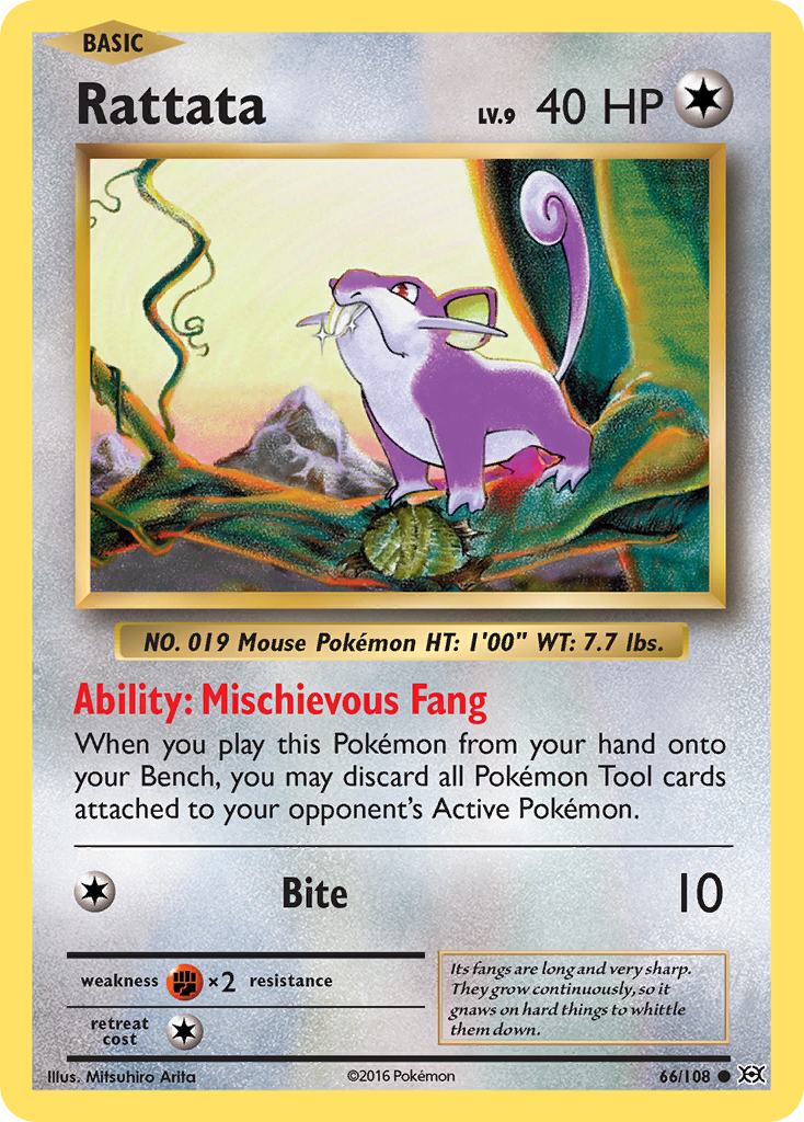 Rattata 66/108 Evolutions