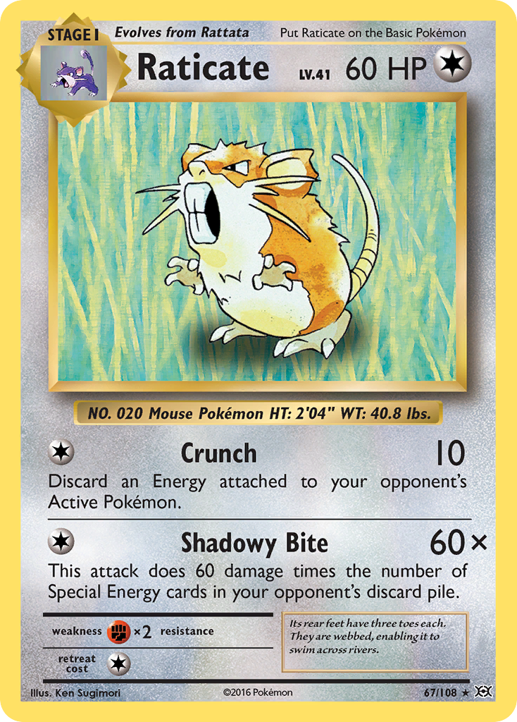 Raticate 67/108 Evolutions