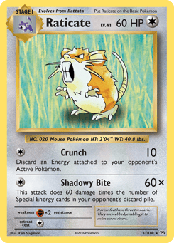 Raticate 67/108 Evolutions