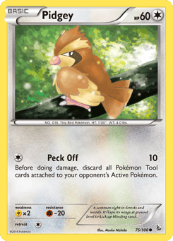 Pidgey 75/106 Flashfire