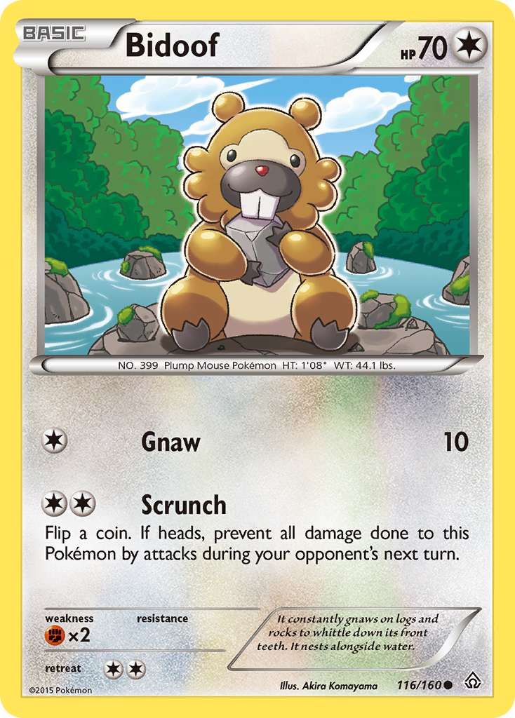 Bidoof 116/160 Primal Clash