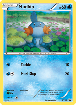 Mudkip XY38 XY Black Star Promos