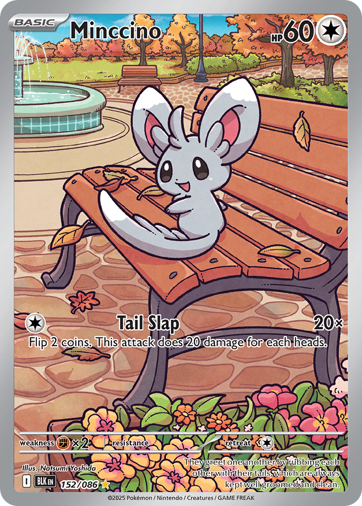 Minccino 152/086 Black Bolt