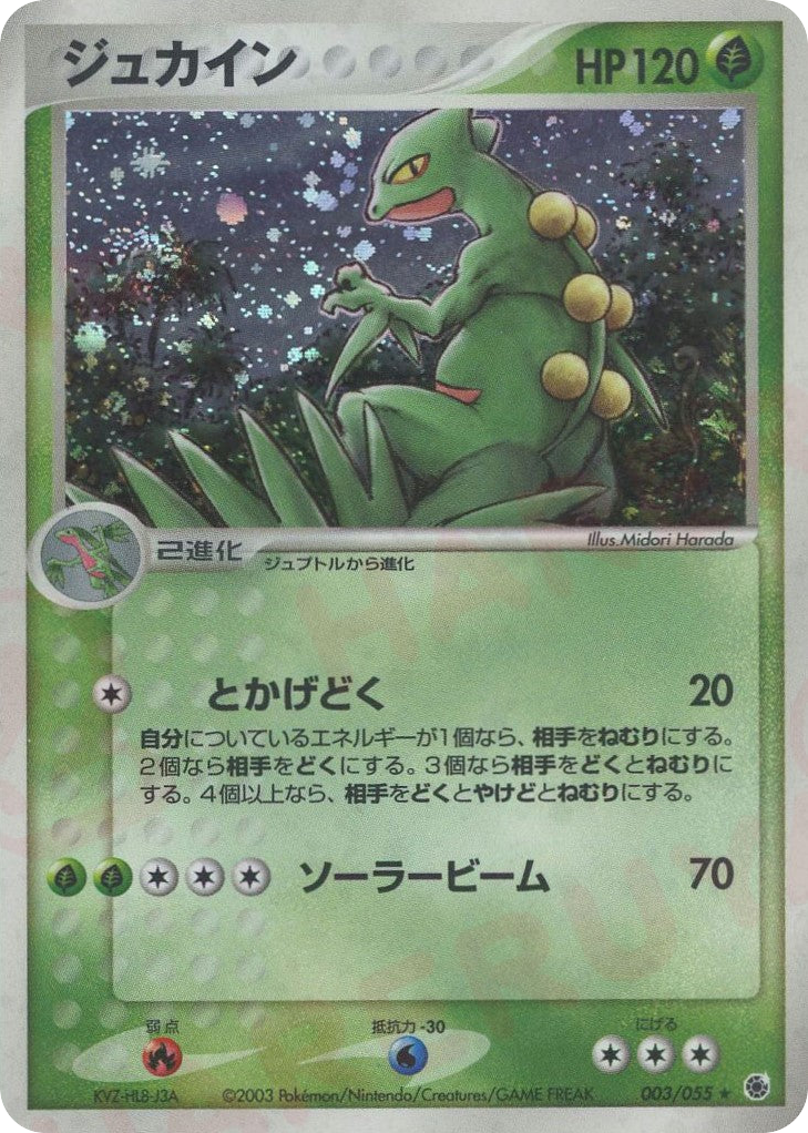 Sceptile 003/055 ADV Expansion Pack