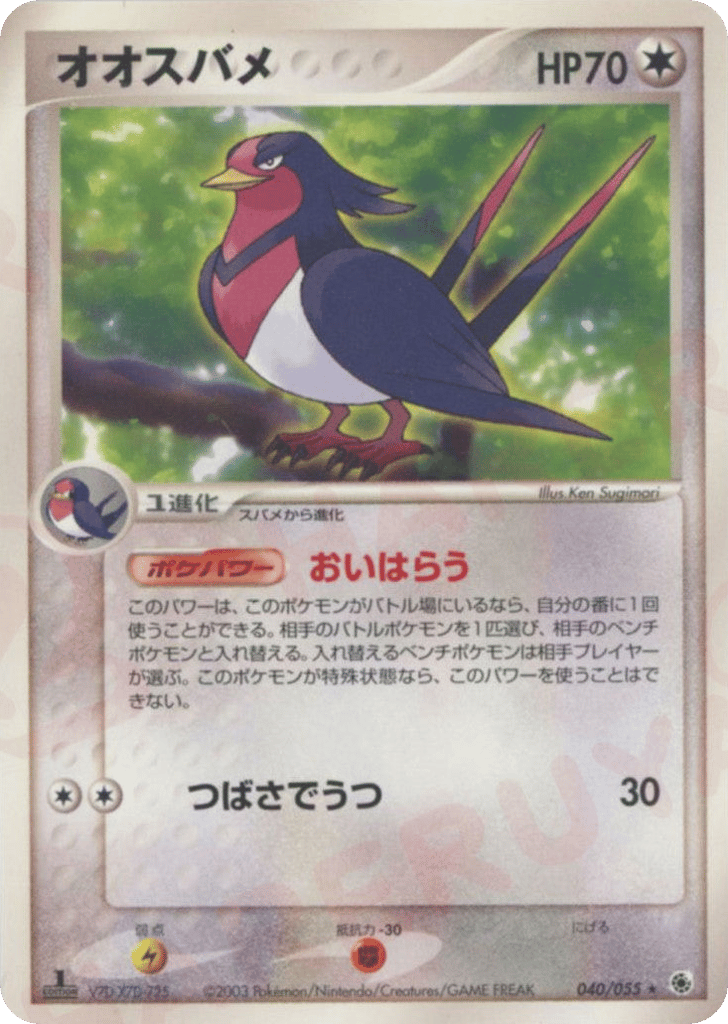 Swellow 040/055 ADV Expansion Pack