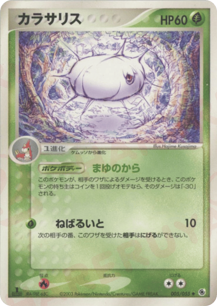 Silcoon 005/055 ADV Expansion Pack