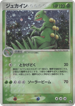 Sceptile 003/055 ADV Expansion Pack