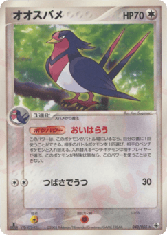 Swellow 040/055 ADV Expansion Pack