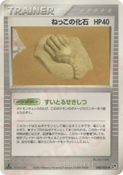 Root Fossil 48 Miracle of the Desert