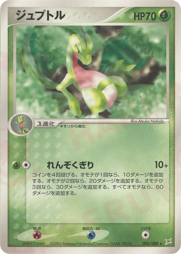 Grovyle 005/080 Magma vs Aqua: Two Ambitions