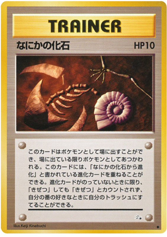 Mysterious Fossil Mystery of the Fossils