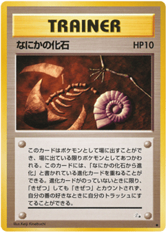 Mysterious Fossil Mystery of the Fossils