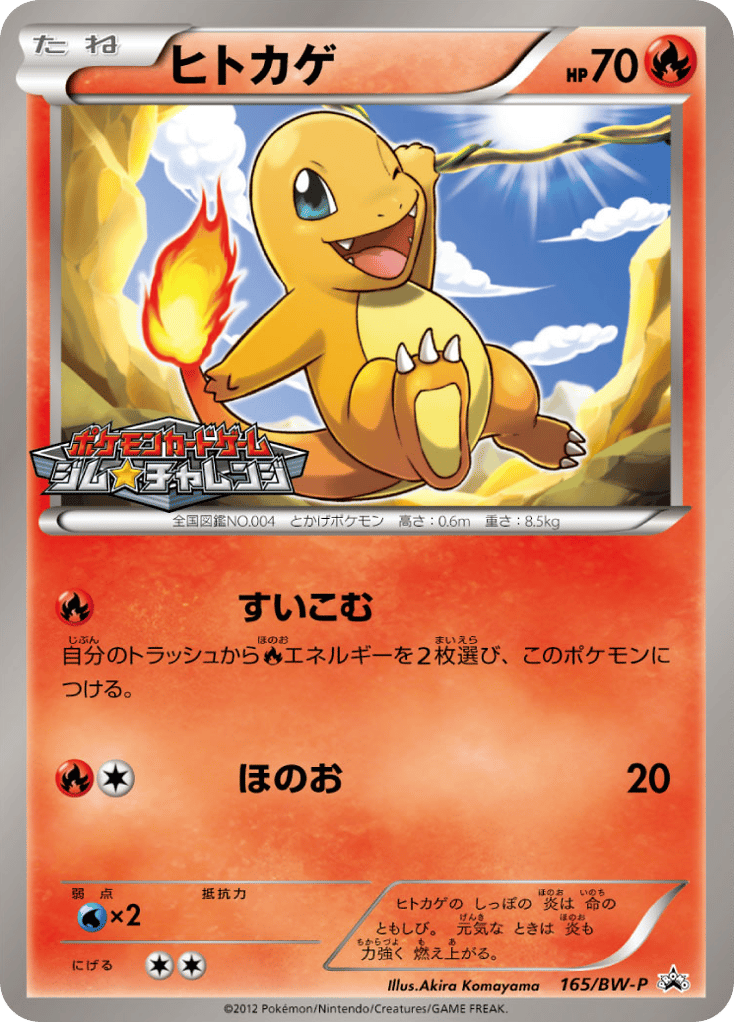 Charmander 165/BW-P Black & White Promos