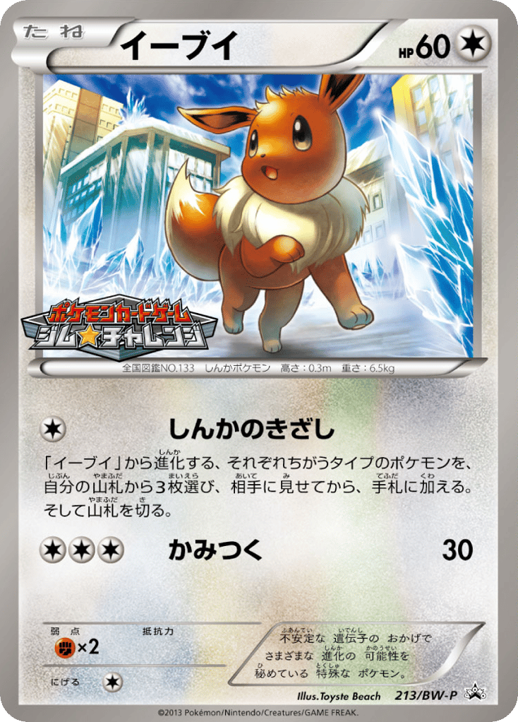 Eevee 213/BW-P Black & White Promos