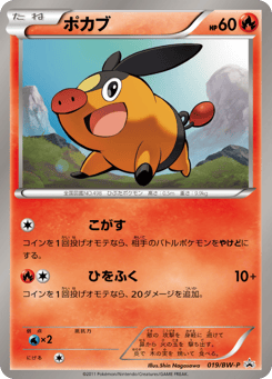 Tepig 019/BW-P Black & White Promos