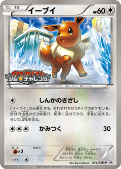 Eevee 213/BW-P Black & White Promos
