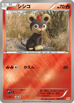 Litleo 020/131 Premium Champion Pack