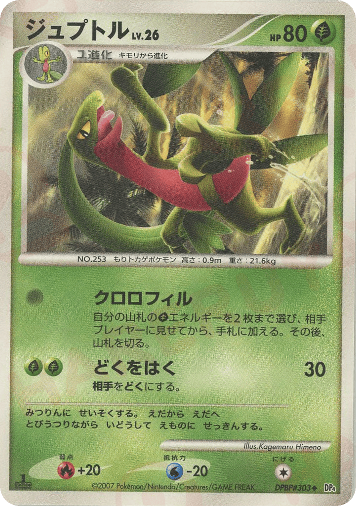Grovyle DPBP#303 Dawn Dash