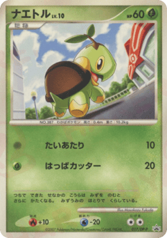 Turtwig 017/DP-P Diamond & Pearl Promos