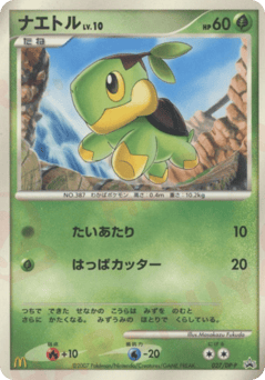 Turtwig 027/DP-P Diamond & Pearl Promos