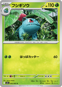 Ivysaur 002/063 Mega Brave