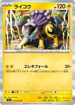 Raikou 030/063 Mega Symphonia