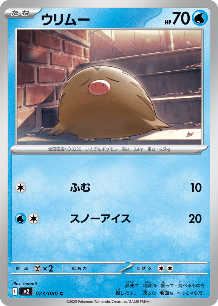 Swinub 023/080 Inferno X