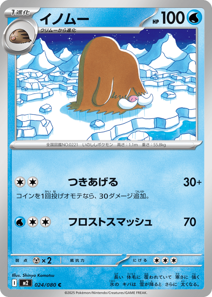 Piloswine 024/080 Inferno X