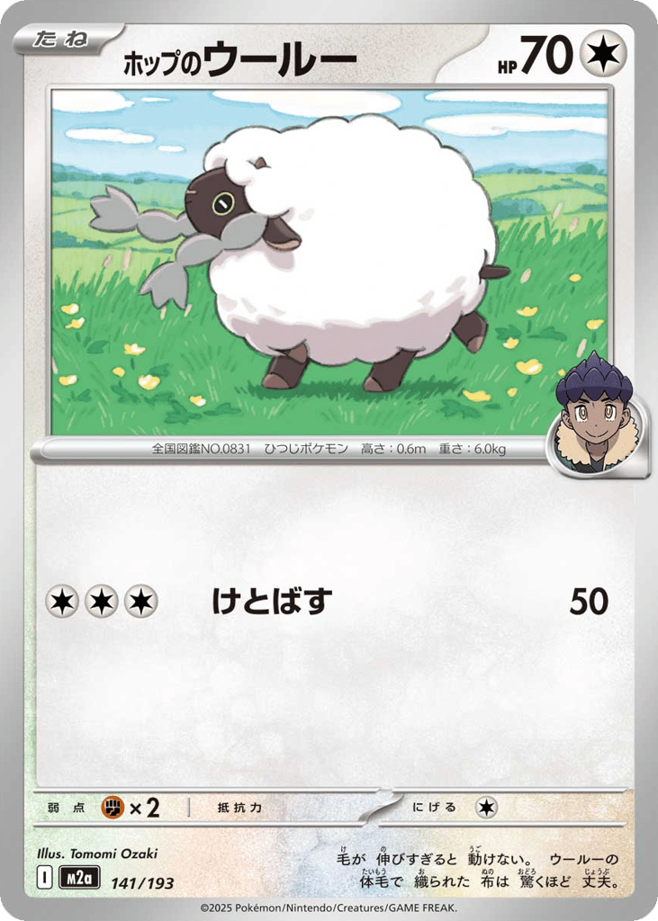 Hop's Wooloo 141/193 MEGA Dream ex