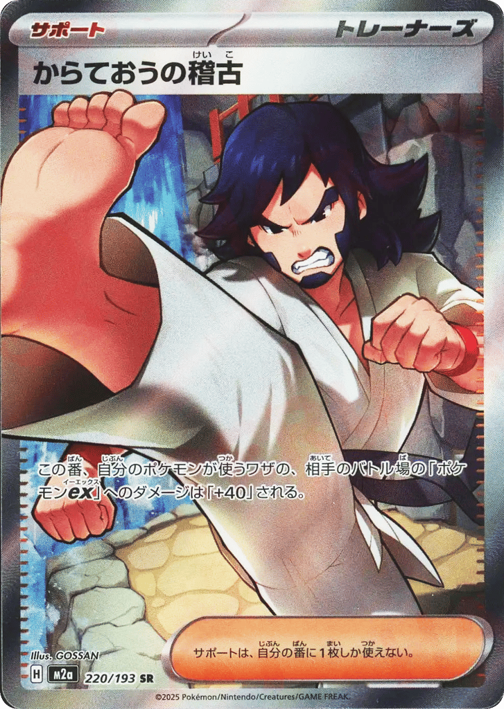 Black Belt's Training 220/193 MEGA Dream ex