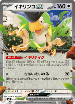Squawkabilly ex 010/043 MEGA Premium Trainer Box