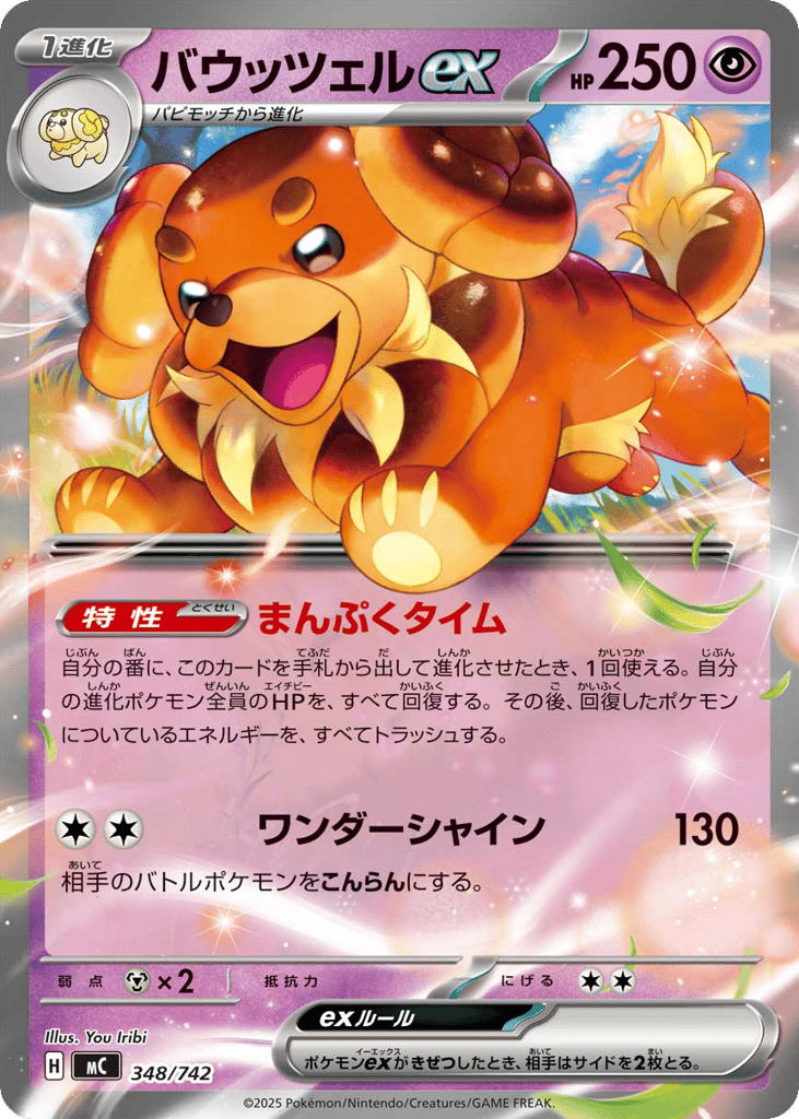 Dachsbun ex 348/742 Start Deck 100 Battle Collection