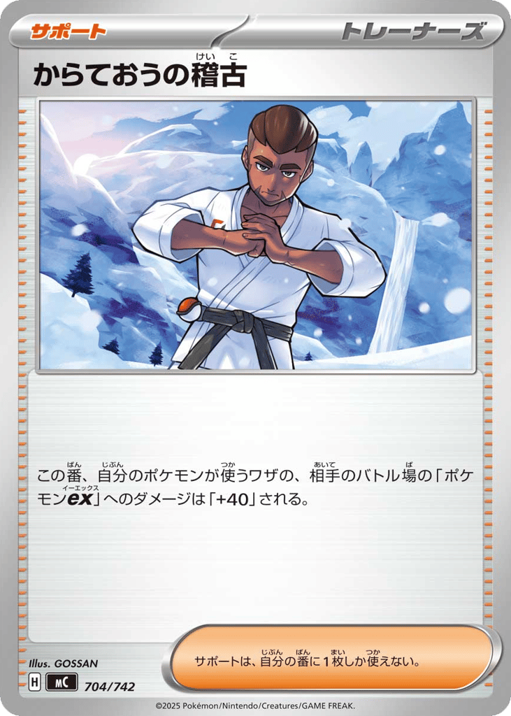 Black Belt's Training 704/742 Start Deck 100 Battle Collection
