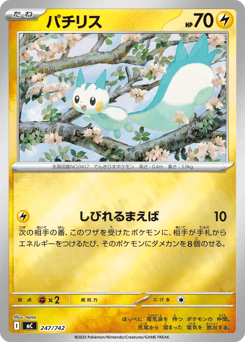 Pachirisu 247/742 Start Deck 100 Battle Collection