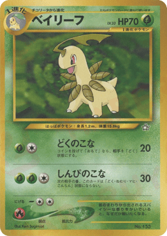 Bayleef No.153 Neo Premium File 1