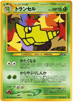 Metapod No.011 Crossing the Ruins...