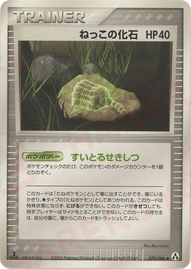 Root Fossil 79 Mirage Forest