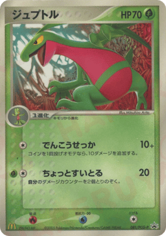 Grovyle 081/PCG-P PCG Promos