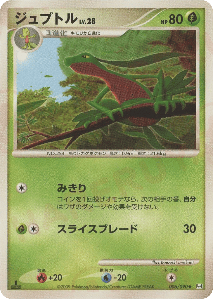 Grovyle 006/090 Advent of Arceus