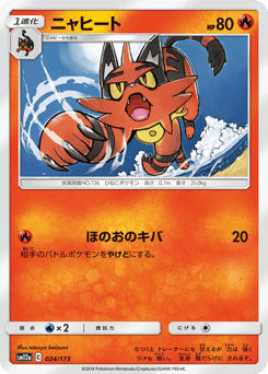 Torracat 024/173 TAG TEAM GX: Tag All Stars