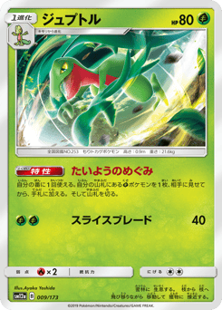 Grovyle 009/173 TAG TEAM GX: Tag All Stars
