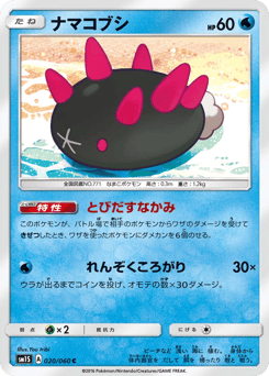 Pyukumuku 020/060 Collection Sun