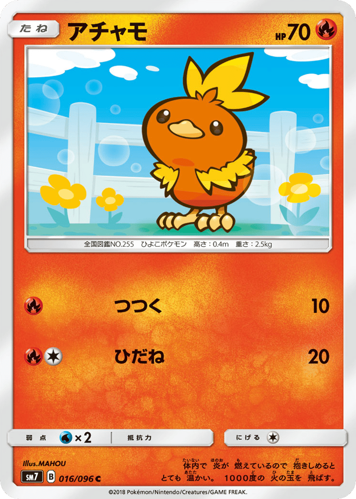 Torchic 016/096 Sky-Splitting Charisma