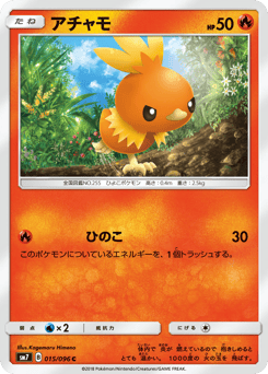 Torchic 015/096 Sky-Splitting Charisma