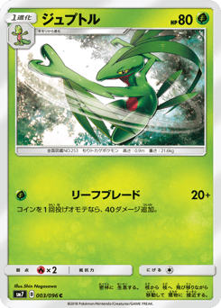 Grovyle 003/096 Sky-Splitting Charisma