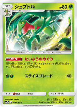 Grovyle 004/050 Fairy Rise